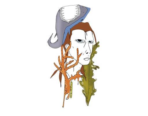 巴宝莉卡通人物矢量巴宝莉男人矢量图案鲨鱼矢量珊瑚礁矢量海带