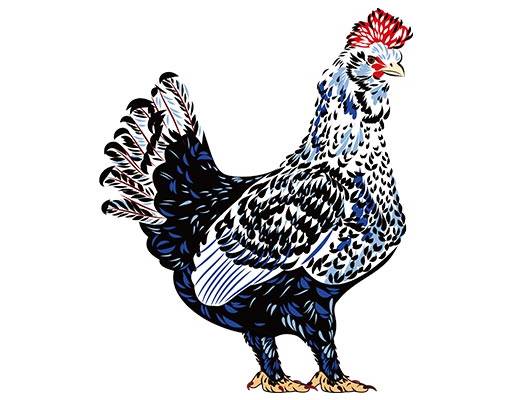 母鸡矢量彩色公鸡矢量鸡矢量素材鸟图案彩色动物