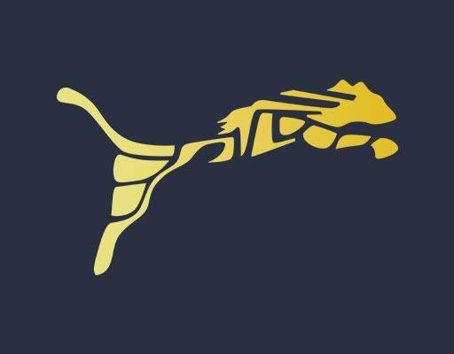 豹子矢量金色豹子矢量图案动物剪影矢量卡通动物彪马