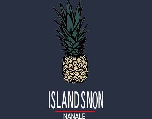 卡通菠萝矢量手绘菠萝水果植物矢量英文字母矢量