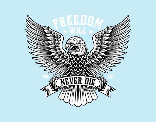 老鹰矢量素材卡通单色老鹰矢量英文字母卡通矢量美国鹰