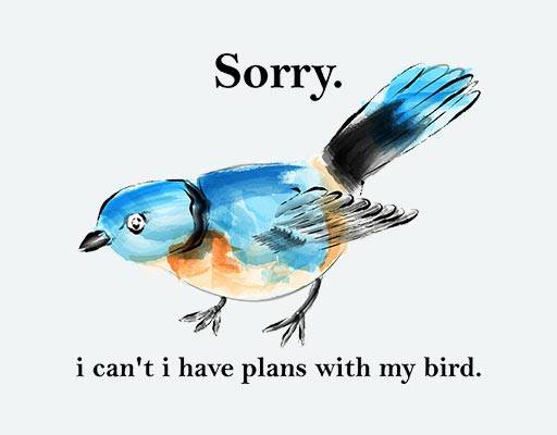 喜鹊矢量图案彩色鸟图案水彩小鸟图案手绘鸟动物