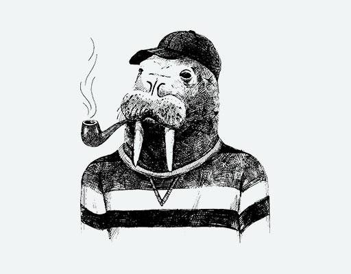 还像矢量图案手绘素描手稿矢量抽烟的动物矢量海洋动物头像矢量