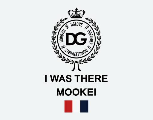 DG英文字母矢量麦穗矢量图案皇冠矢量图案国旗矢量图案