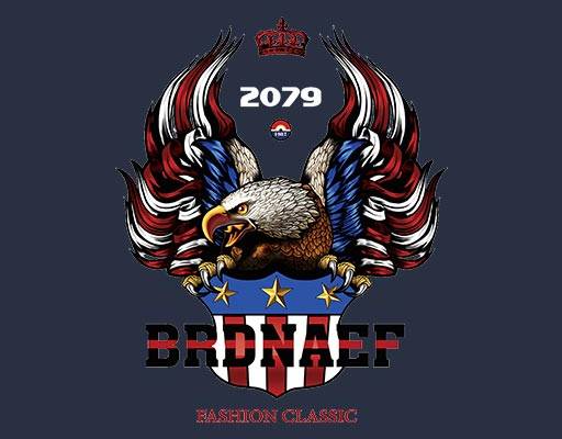 卡通老鹰美国鹰图绣章图案美国标志图案卡通老鹰