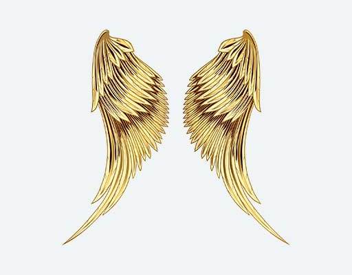 翅膀矢量金色翅膀卡通手绘翅膀羽毛矢量
