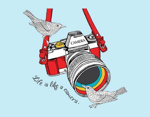 相机矢量图案卡通鸟矢量彩色相机矢量卡通动物矢量彩色相机