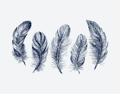 羽毛矢量手绘羽毛单色羽毛鸟羽毛矢量