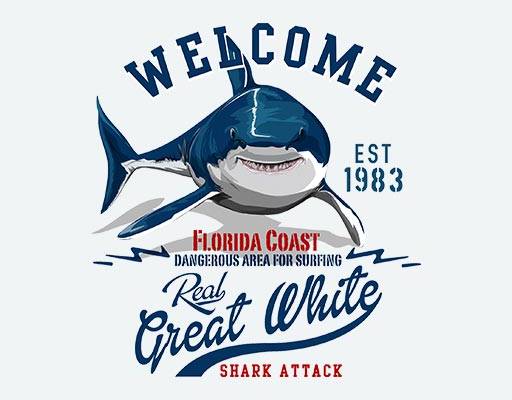 卡通鲨鱼矢量海洋生物矢量卡通动物矢量英文字母矢量