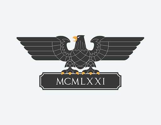 老鹰矢量印花素材卡通老鹰黑色老鹰图案翅膀老鹰鸟动物矢量