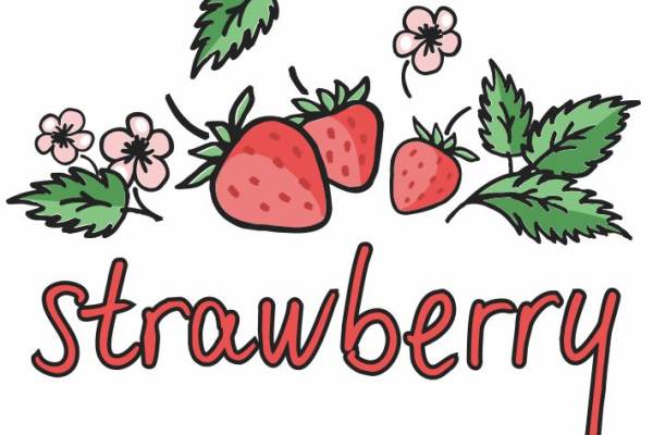 草莓-90188