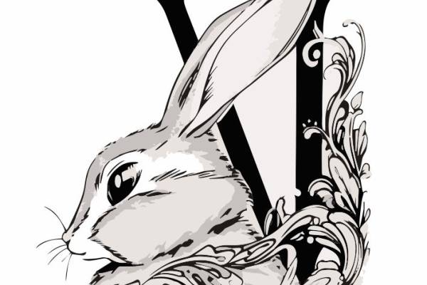 兔子-86722