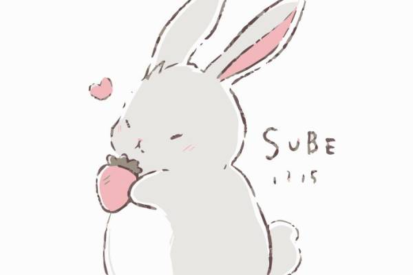 兔子-86718