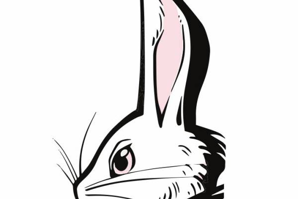 兔子-86717