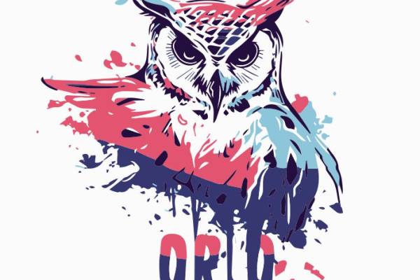 猫头鹰-81243