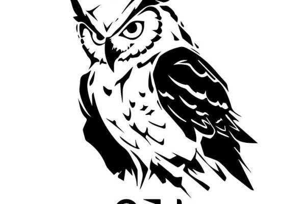 猫头鹰-81233