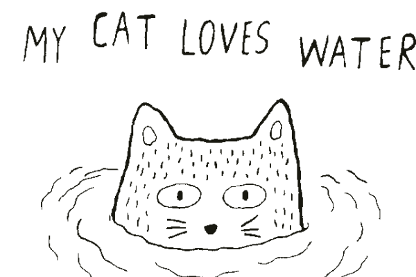 猫-77660