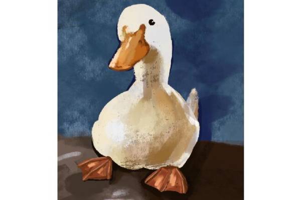 油画鸭-76080