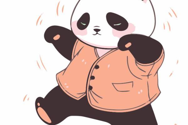 熊猫打太极-72678