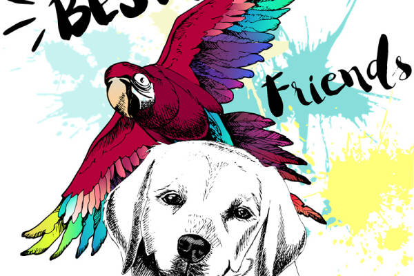 创意宠物主题服装印花设计：最佳朋友鹦鹉与狗