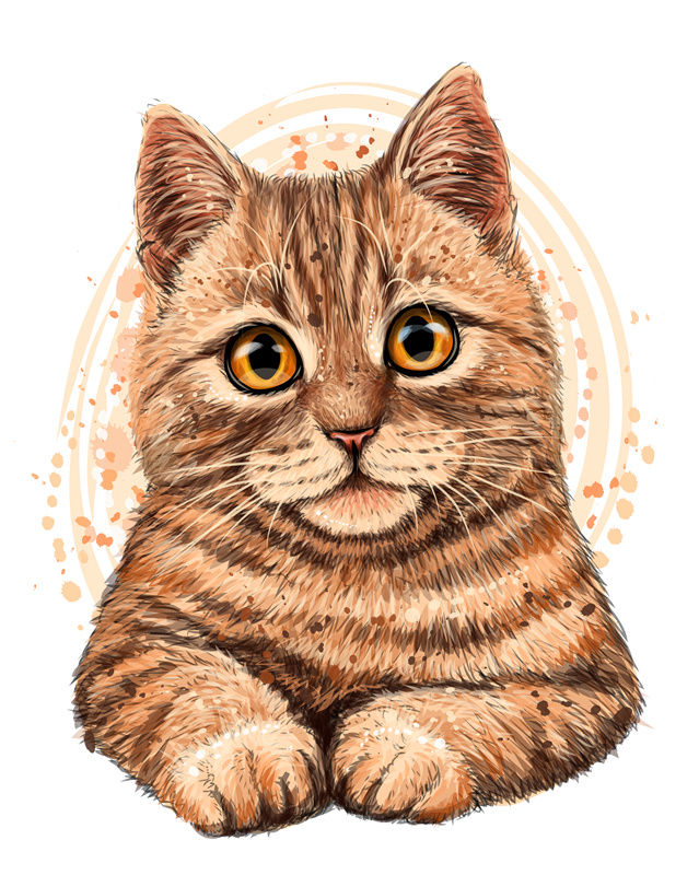 可爱卡通猫咪服装印花设计，增添趣味与活力