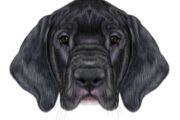 时尚潮流黑狗图案服装裁片印花设计