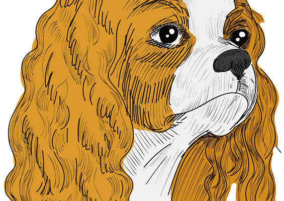 可爱卡通狗图案服装裁片印花设计