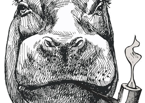 创意河马背服装印花设计，增添个性与趣味