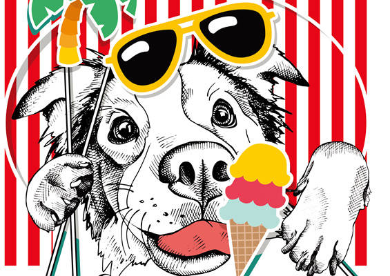 夏日时尚服装印花：可爱狗狗享受冰淇淋