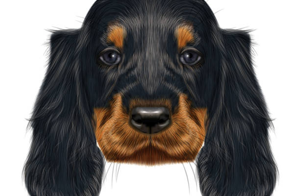 时尚宠物狗图案服装裁片印花设计