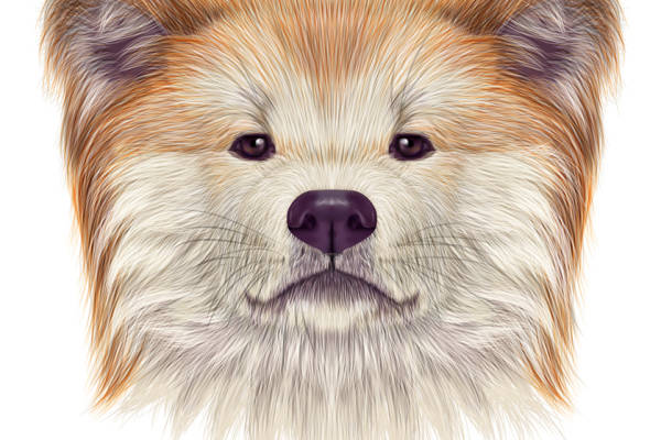 时尚创意狐狸脸服装裁片印花设计