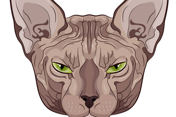 时尚猫科动物主题服装裁片印花设计