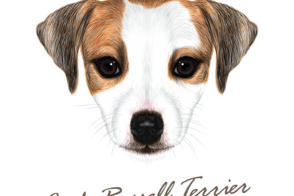 杰克罗素梗犬图案服装裁片印花设计