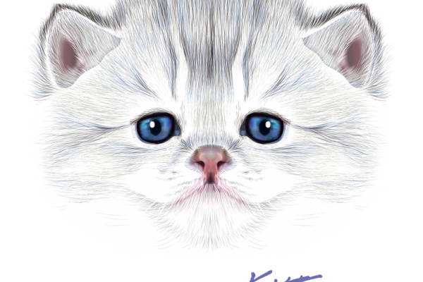 可爱宠物猫咪服装印花设计图案