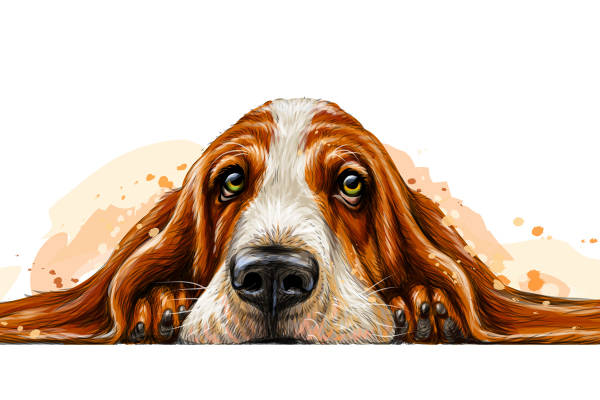 可爱卡通狗服装印花设计，增添活力与趣味