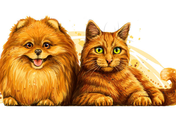 可爱动物图案服装印花设计,打造温馨宠物风格