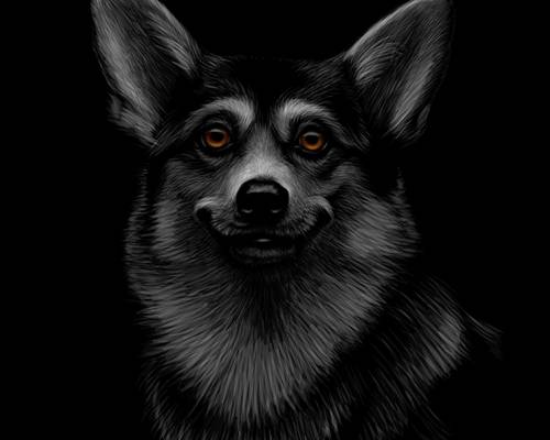 时尚狗头裁片印花服装 打造独特个性风格