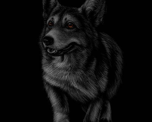 时尚潮流黑狼裁片印花服装印花设计