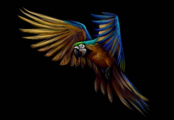 时尚彩色鹦鹉裁片印花服装印花图案设计