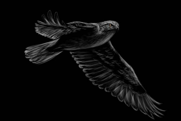 时尚鹰图案裁片印花服装印花设计