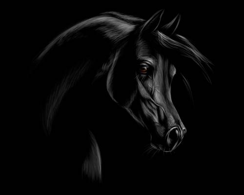 神秘黑色骏马图案裁片印花服装印花设计