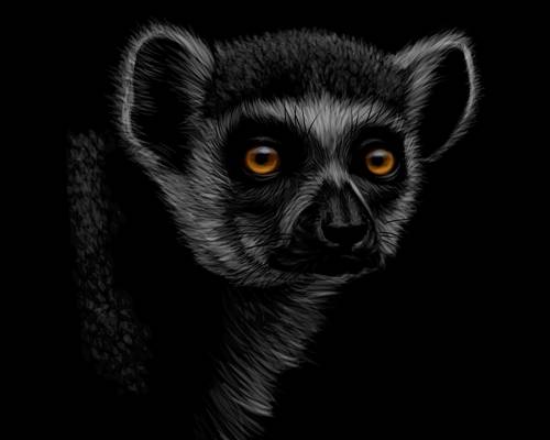 时尚个性服装印花设计：神秘黑狐裁片印花图案