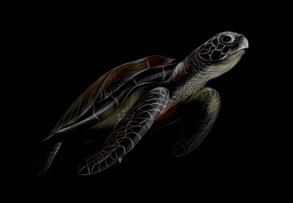 创意海洋生物裁片印花服装 展现独特个性的服装印花设计