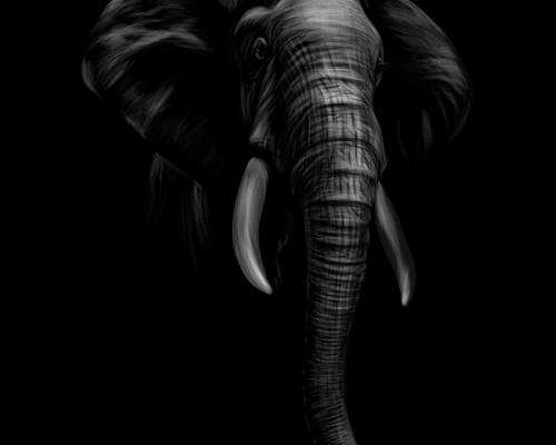 时尚服装印花设计：大象裁片印花图案