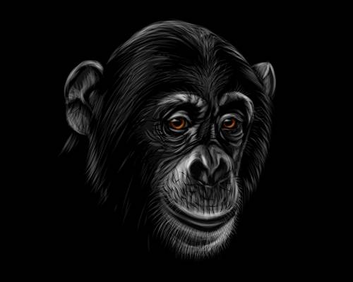 独特黑猩猩裁片印花服装 时尚个性街头风格