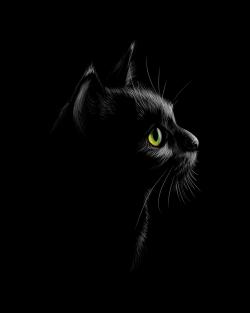 神秘黑猫裁片印花服装，时尚个性服装印花设计