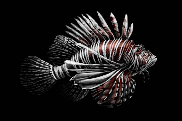 独特风格鱼形裁片印花服装，展现个性与艺术的完美结合