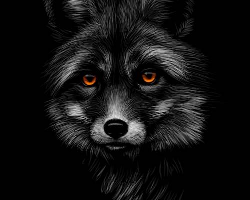 神秘黑狐裁片印花服装 独特设计引领潮流