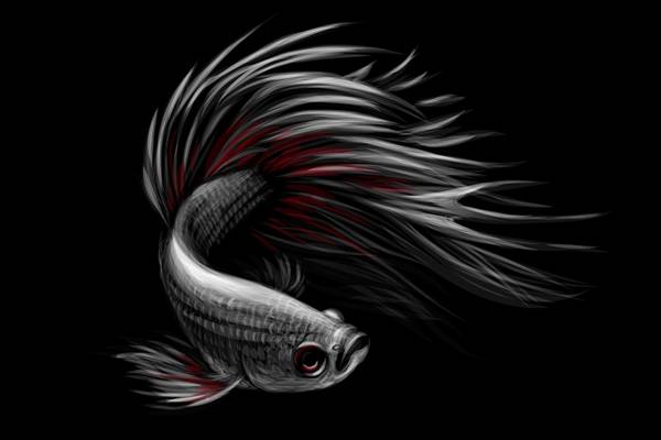 时尚个性黑白红斗鱼裁片印花服装