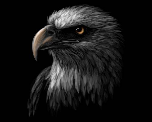 霸气老鹰裁片印花服装,展现个性与力量的时尚选择